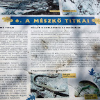 2013 04 24 kevély túra Mészkő sziklák a Nagy-Kevély oldalában (1).jpg